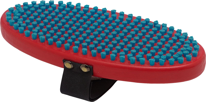 Swix Blue Nylon Oval Brush