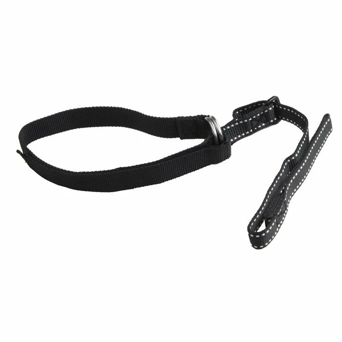 Black Diamond Fritschi Ski Leash